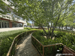 年人保养的抱负选择